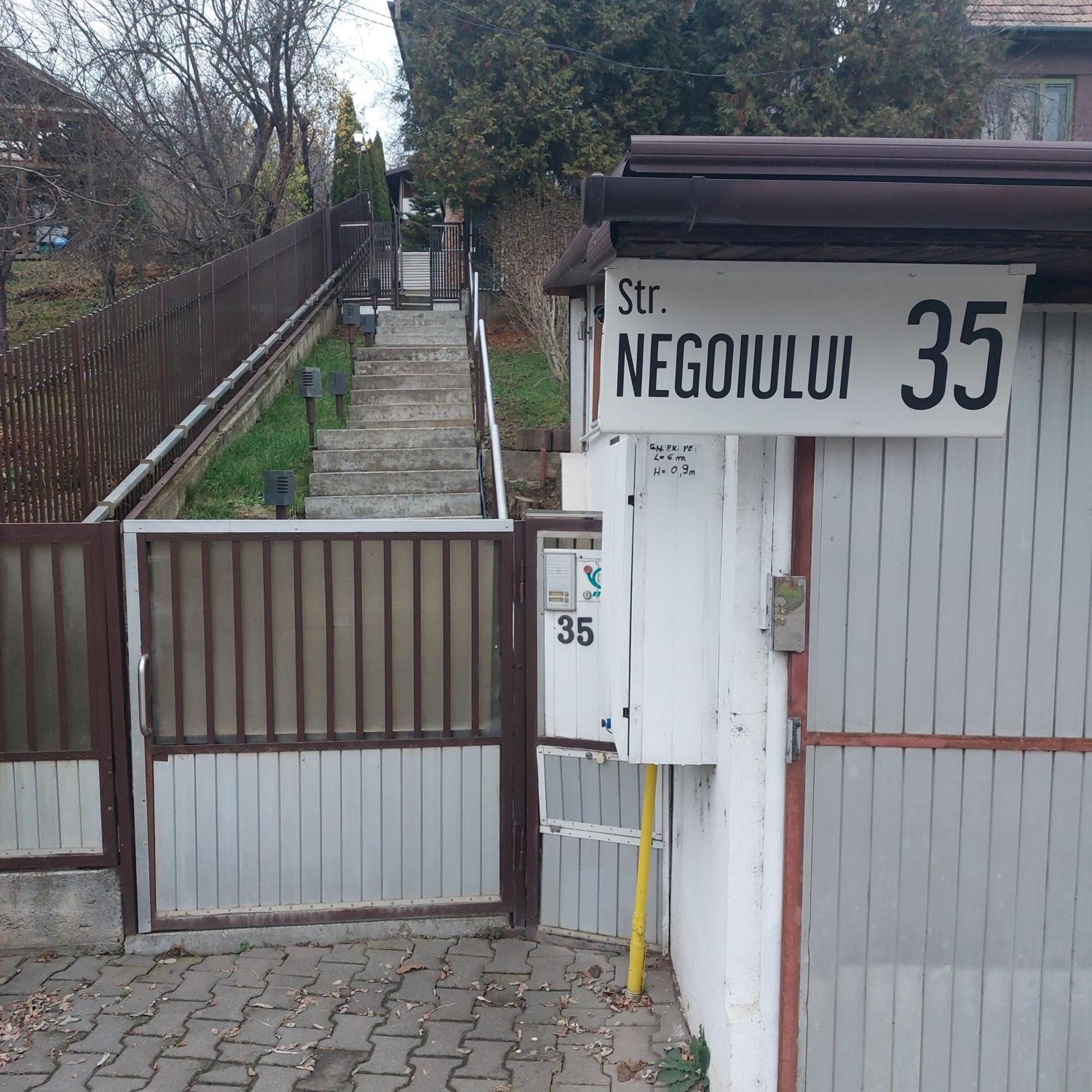 Casa Negoiu Apartment Targu Mures Exterior photo